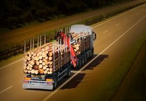 Truck with Wood